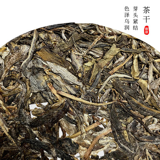 霏鸿茶叶 普洱茶生茶饼茶古树茶2021年易武弯弓 云雾古树云南普洱生普200g 商品图2