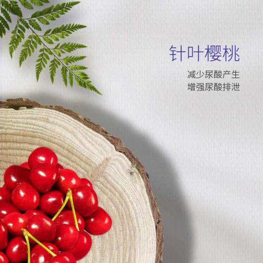 【已下架】痛风组合 | 预售 | 中科和素 风芷素6盒+御沨素6盒压片糖果（赠风芷素*4盒） [D类] 商品图9