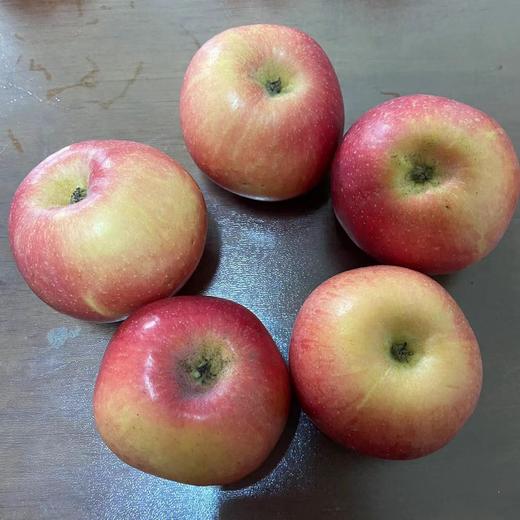 丨有机丨宫藤富士苹果  带箱10斤 产自河北太行山区梨岩山庄 苹果是按重量算，可能箱子里会有空格 商品图2