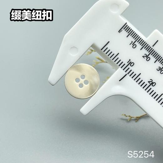 S5254(整包购买) 商品图6