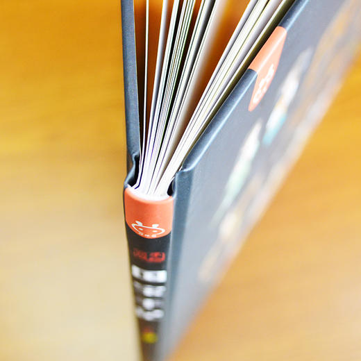 【精装】国宝手记 6岁+ 潜移默化累积历史 文物知识 培养孩子注意力逻辑性 商品图6