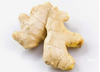 新鲜子姜 商品缩略图0