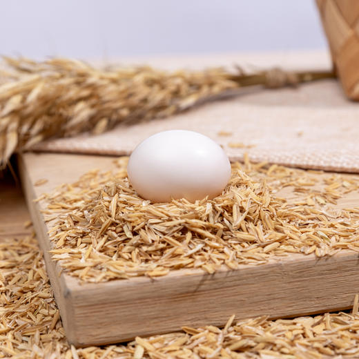 【顺丰包邮】农家谷物饲养 新鲜鸽子蛋 土鸽蛋 白鸽蛋宝宝鸽蛋 商品图2