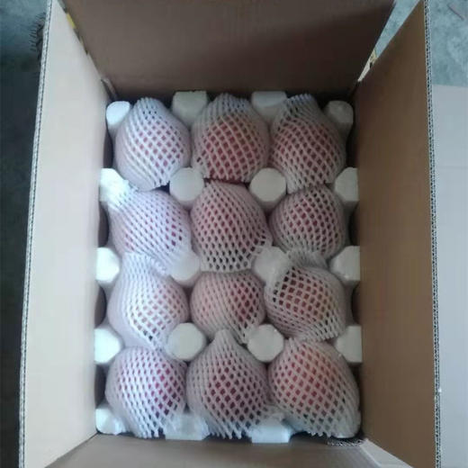 丨有机丨宫藤富士苹果  带箱10斤 产自河北太行山区梨岩山庄 苹果是按重量算，可能箱子里会有空格 商品图3