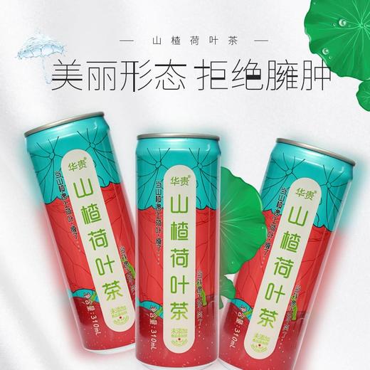 湖北特产 华贵山楂荷叶茶310ml*12瓶装 商品图1