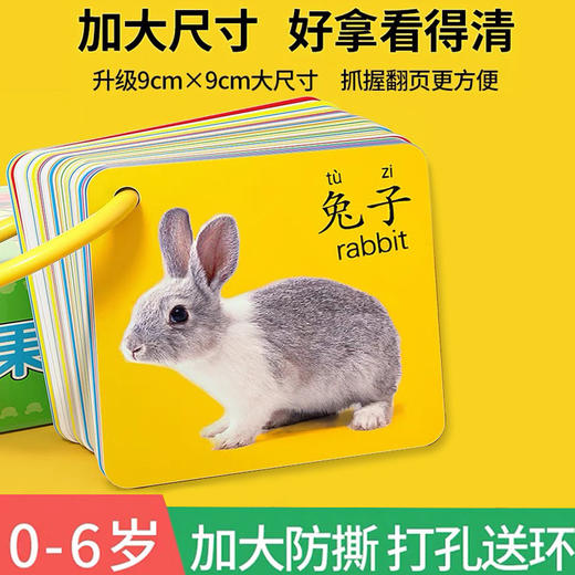 儿童双面益智玩具识字卡 宝宝启蒙动物卡片有图 认知早教卡 商品图0
