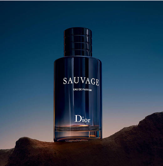 迪奥(Dior)旷野男士香氛 广袤旷野 锐意清新 送老公送男友100ml 商品图0