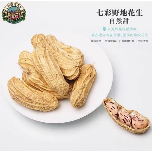 【自然甜】七彩野地花生238g/袋*2 新货云南七彩花生 生花生带壳原味自然晒干 云南傣族老品种花生 商品图1