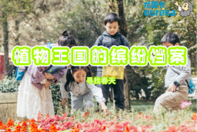 《植物王国的缤纷档案》半日独立营4月22日