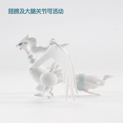 多美卡   145813  宝可梦 ML-08  白龙莱希拉姆 商品图2