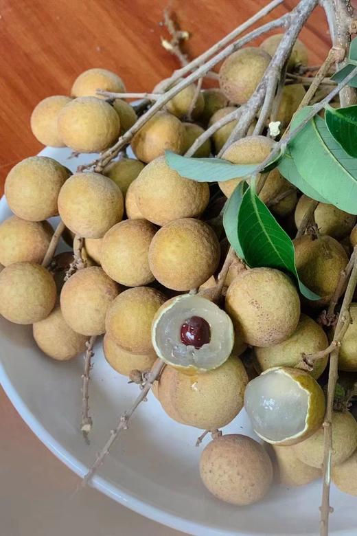 三亚石硖龙眼 商品图1