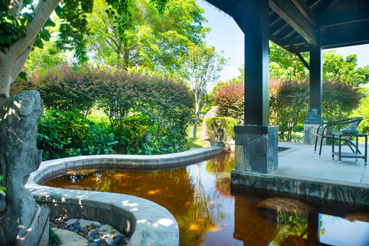 茶语温泉票 商品图4