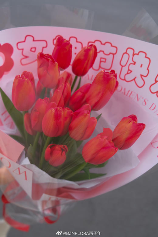 包装纸（10张/包） 商品图13