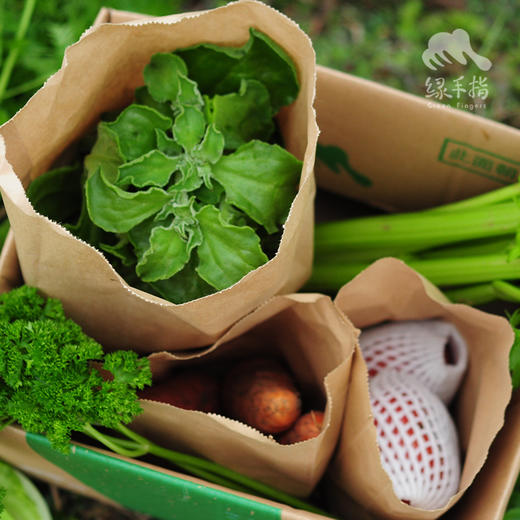 生态沙拉蔬菜箱（非净菜） | 绿家自产* Organic salad vegetable box | Self-production 商品图5