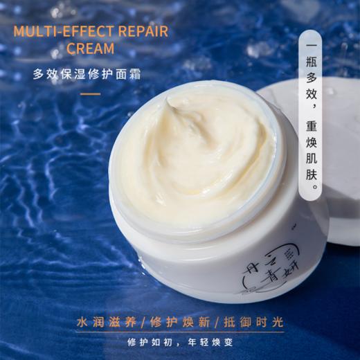 已下市】丹之青妍 多效修护保湿面霜85g [A类] 商品图5