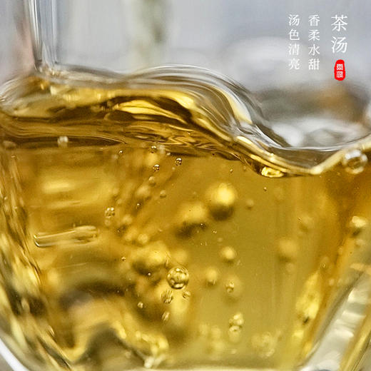 霏鸿茶叶 普洱茶生茶饼茶古树茶2021年易武弯弓 云雾古树云南普洱生普200g 商品图3