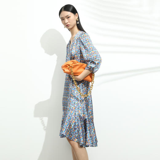 西贝伦连衣裙S25A1505 商品图2