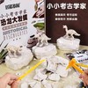 考古挖掘恐龙套装 商品缩略图0