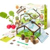 CALLPYAY科答鸭阳光种植房 商品缩略图1