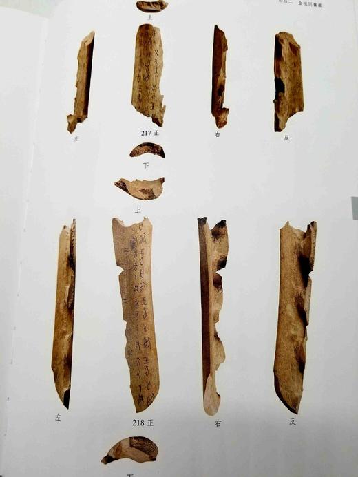 《复旦大学藏甲骨集》，全2册，精装，16开函套，吕静编，上海古籍出版社2019年版，定价1200，售价568元。函套可能有轻度破损，品相9成。 商品图7