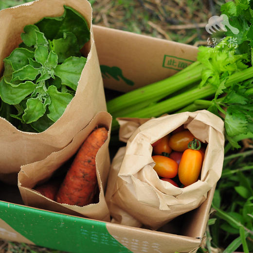 生态沙拉蔬菜箱（非净菜） | 绿家自产* Organic salad vegetable box | Self-production 商品图4