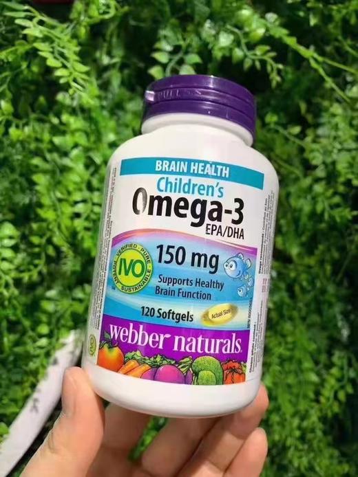 webber儿童鱼油120粒/有效期至：2027，MA 商品图0