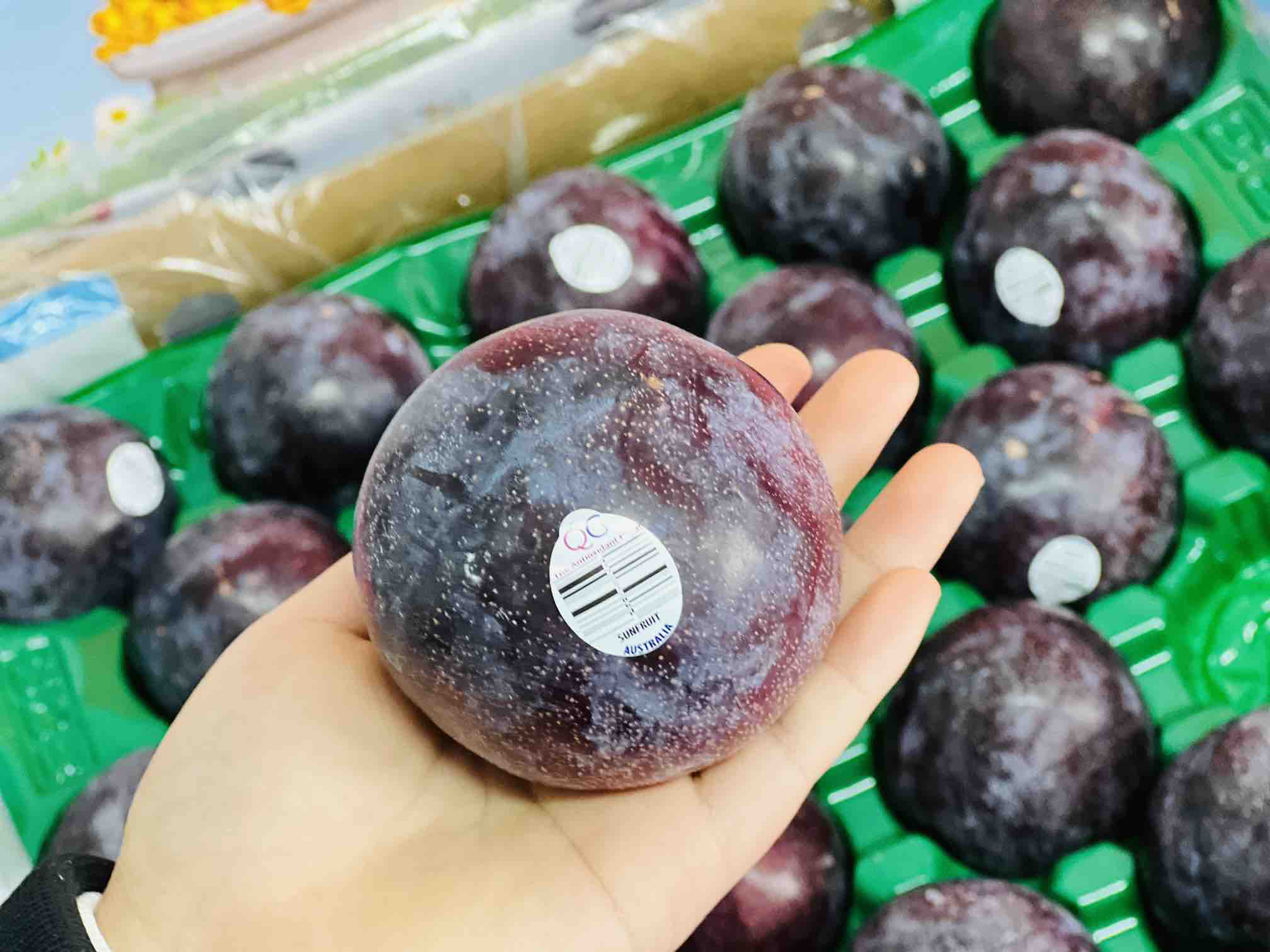 澳洲减肥李又叫胭脂女王李一颗下肚有饱腹感实验测试让人瘦瘦瘦的神奇