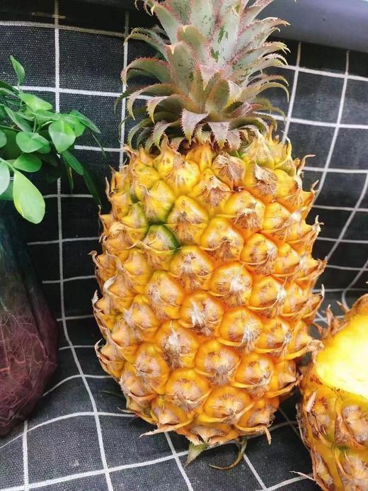 活动凤梨2个（拼团） 商品图0