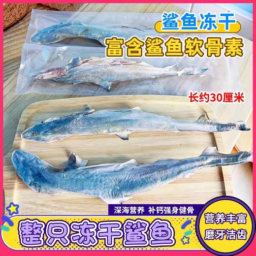 中号小鲨鱼冻干整只酥脆小鲨鱼狗狗磨牙零食酥香补钙独立装（30厘米左右） 商品图1