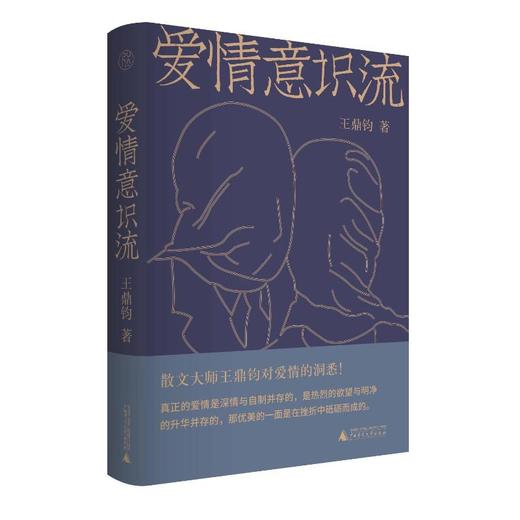 爱情意识流 商品图0