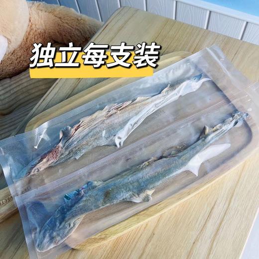 中号小鲨鱼冻干整只酥脆小鲨鱼狗狗磨牙零食酥香补钙独立装（30厘米左右） 商品图2