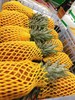 活动凤梨2个（拼团） 商品缩略图1