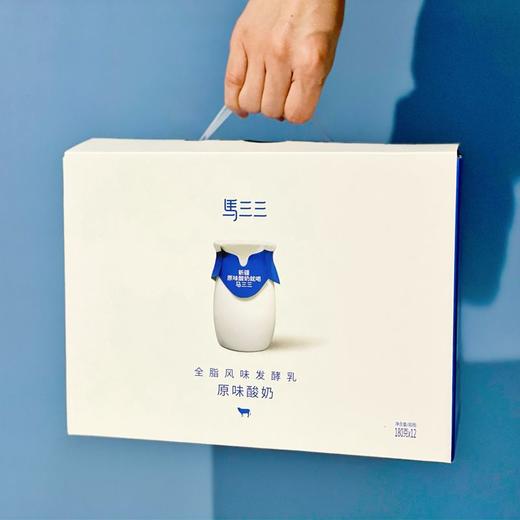 马三三小白罐原味酸奶180g*12杯 商品图3