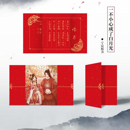 一不小心成了白月光 商品图2