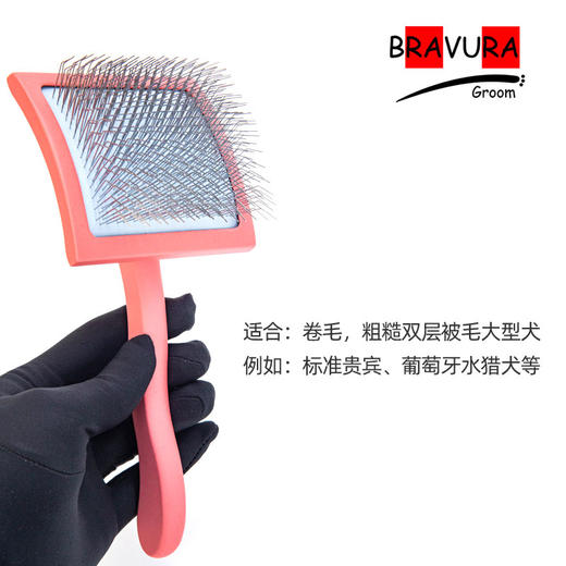 宠物曲面针梳 大G原木 大号宠物美容针梳 多色可选 意大利BRAVURAGROOM 商品图4