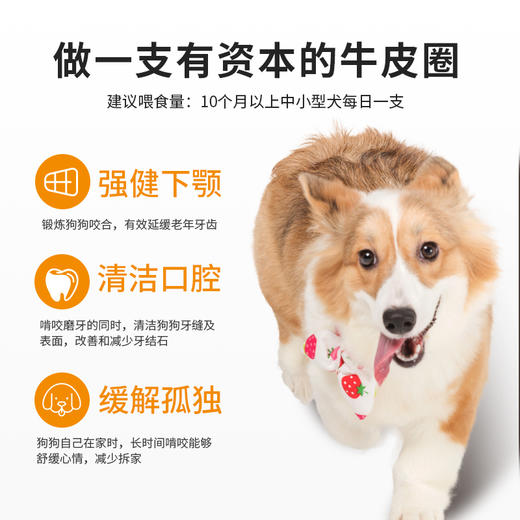 麦富迪狗零食磨牙棒牛皮圈大小型犬宠物零食金毛骨头耐咬洁齿 商品图2