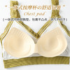 上海旗袍厂GY-6610#新款无缝无钢圈美背裹胸文胸内衣女高弹蚕丝蛋白女士蕾丝抹胸 商品缩略图1