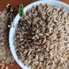 六不用 燕麦粒 裸燕麦 1斤/份 【弘毅六不用生态农场】 商品缩略图1