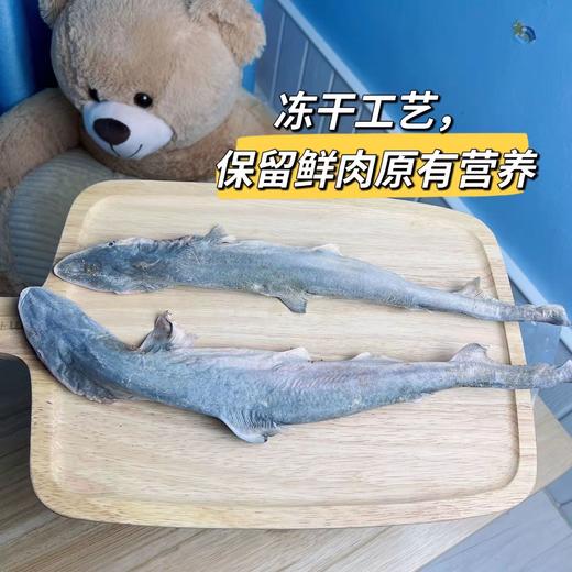 中号小鲨鱼冻干整只酥脆小鲨鱼狗狗磨牙零食酥香补钙独立装（30厘米左右） 商品图0
