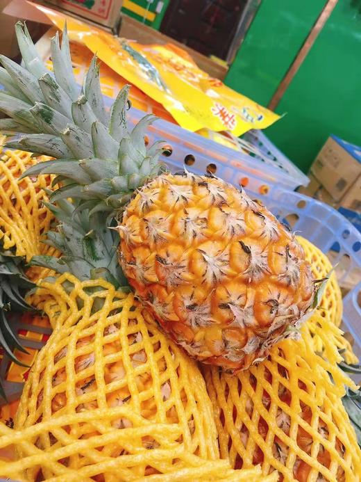 活动凤梨2个（拼团） 商品图2