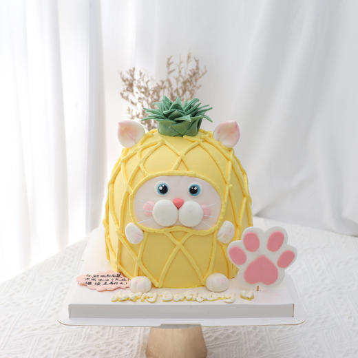 菠萝猫 商品图0