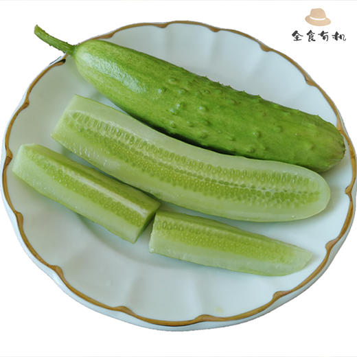 生态白玉奶油黄瓜（顺丰包邮） 商品图8