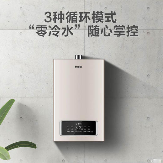 海尔燃气热水器JSQ31-16TR6BDGU1 商品图7