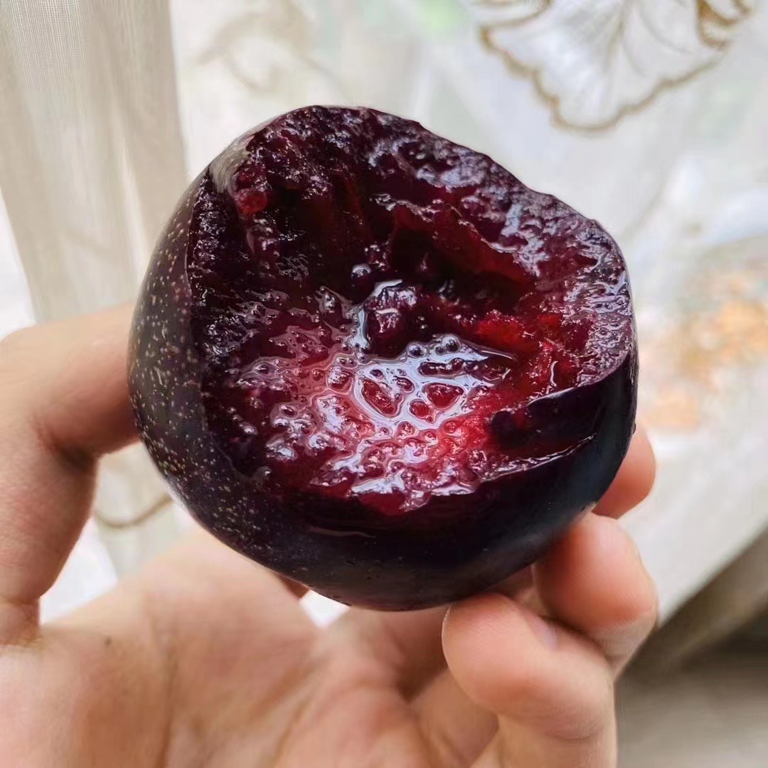 澳洲减肥李又叫胭脂女王李一颗下肚有饱腹感实验测试让人瘦瘦瘦的神奇