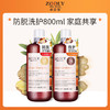 优选丨【洗护大套装+育发液】卓蓝雅生姜防脱洗护800ml*2+育发液50ml  防脱育发 家庭大套装 商品缩略图2