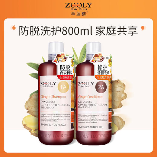 优选丨【洗护大套装+育发液】卓蓝雅生姜防脱洗护800ml*2+育发液50ml  防脱育发 家庭大套装 商品图2