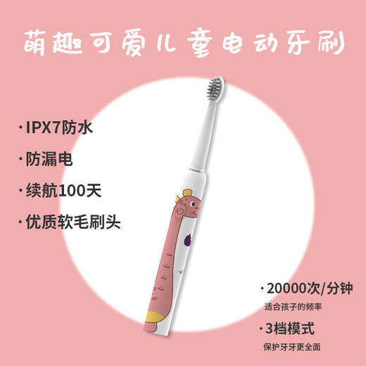 【团购】铂瑞智能声波电动牙刷3DD立体杜邦刷头IPX7整机防水高频振动45000/分钟成人&儿童款 商品图4