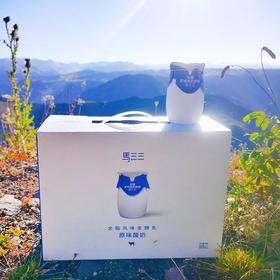 马三三小白罐原味酸奶180g*12杯
