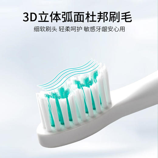 【团购】铂瑞智能声波电动牙刷3DD立体杜邦刷头IPX7整机防水高频振动45000/分钟成人&儿童款 商品图3