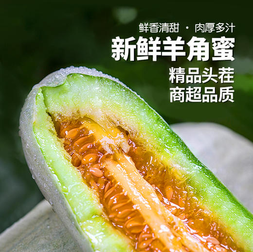 「头茬甜瓜」山东羊角蜜甜瓜 净重3-4.5斤普箱装 个大饱满 甜蜜多汁 清脆可口 现摘现发 新鲜水果 商品图1
